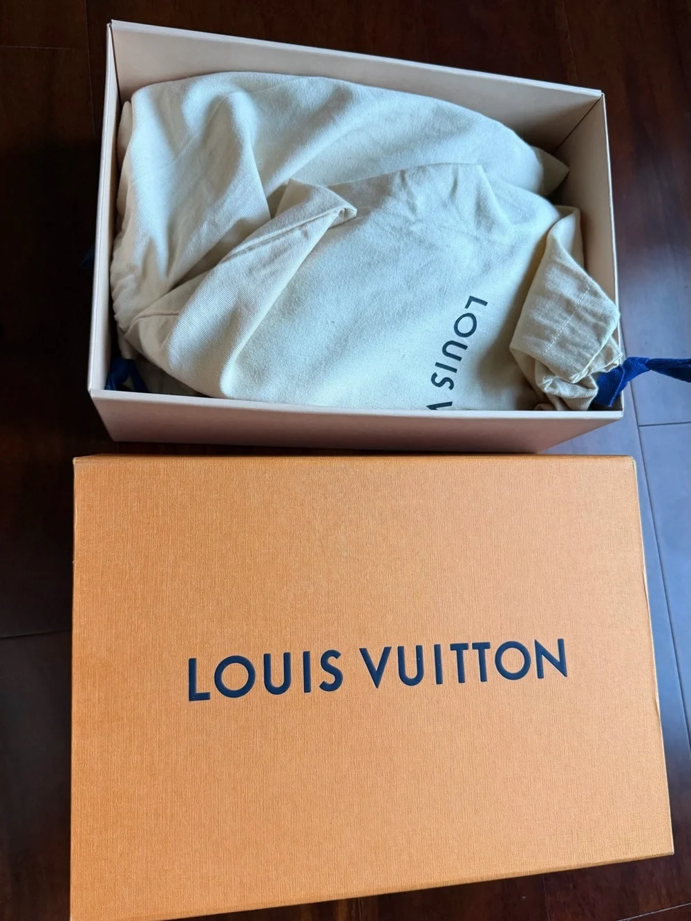 Louis Vuitton stylish louis